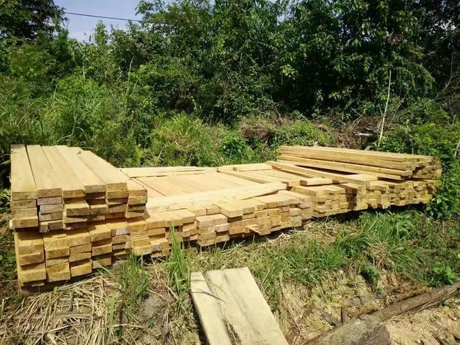 木材收购、加工、销售全产业链服务 从原木到家具建筑用材一站式解决方案